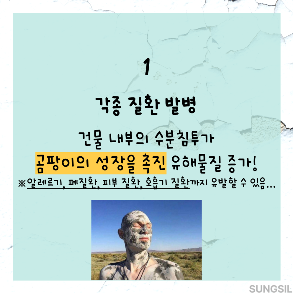 성실방수 실제 시공 참고사진