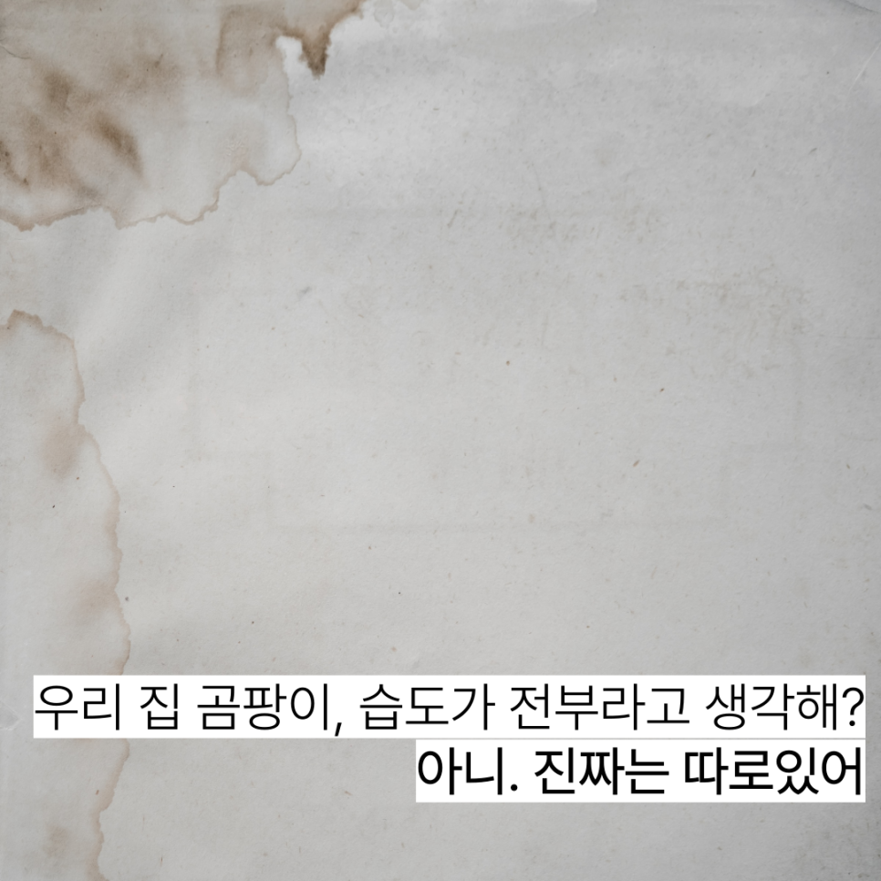 성실방수 실제 시공 참고사진