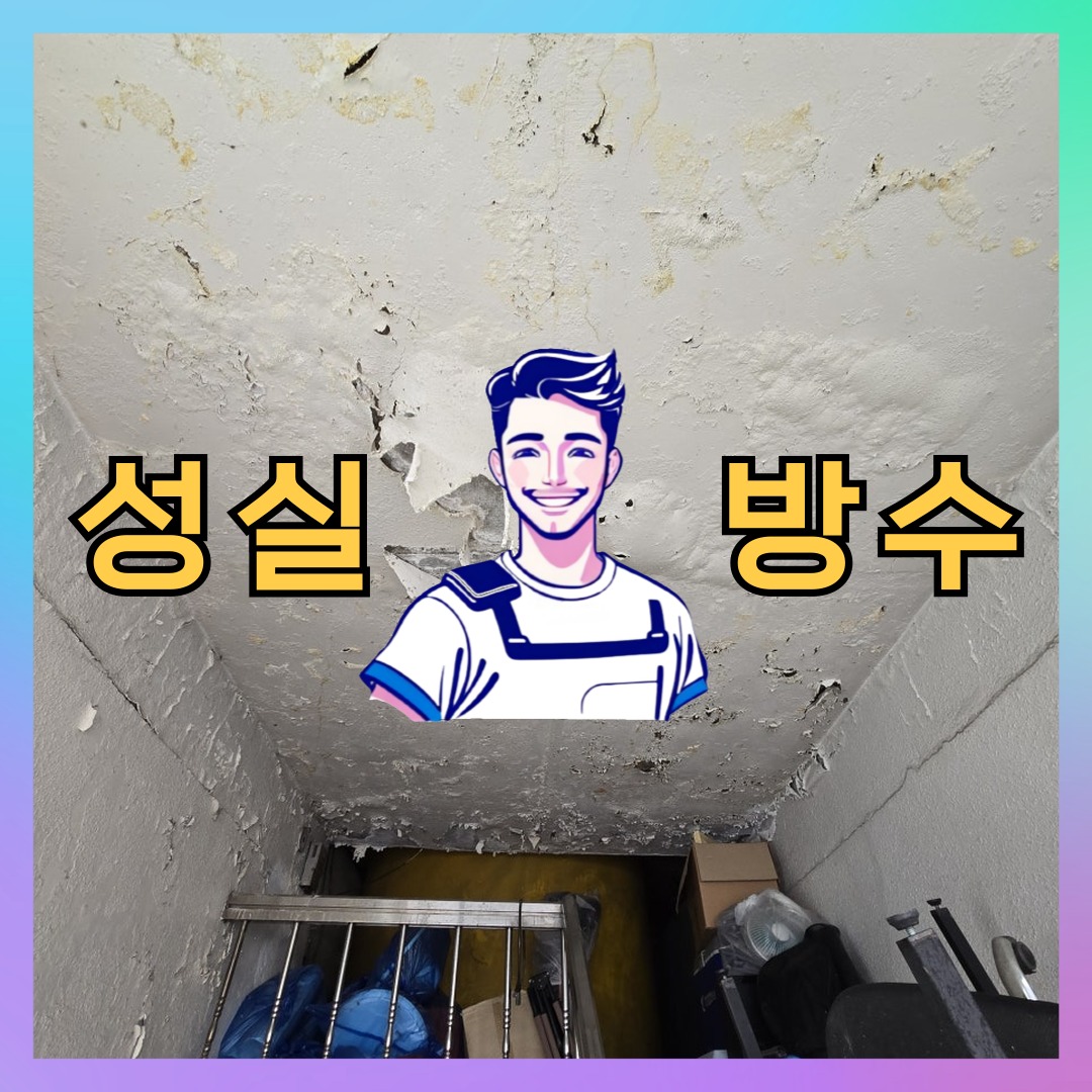 경기 부천시 원종동 상가 건물 옥상방수 시공 전 상태 - 성실방수