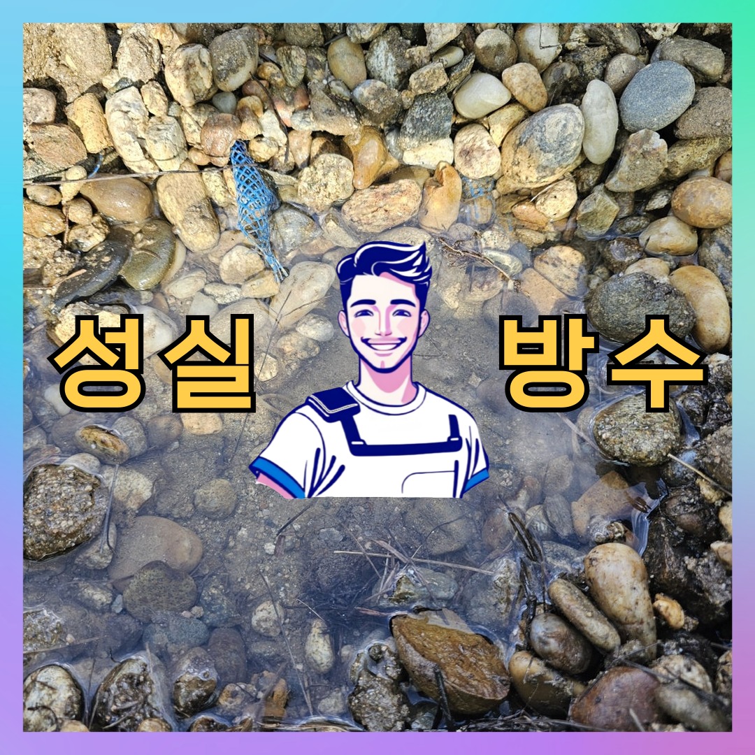 경기도 시흥시 대야동 주차장방수: 세부적인 공사 안내 대표 이미지