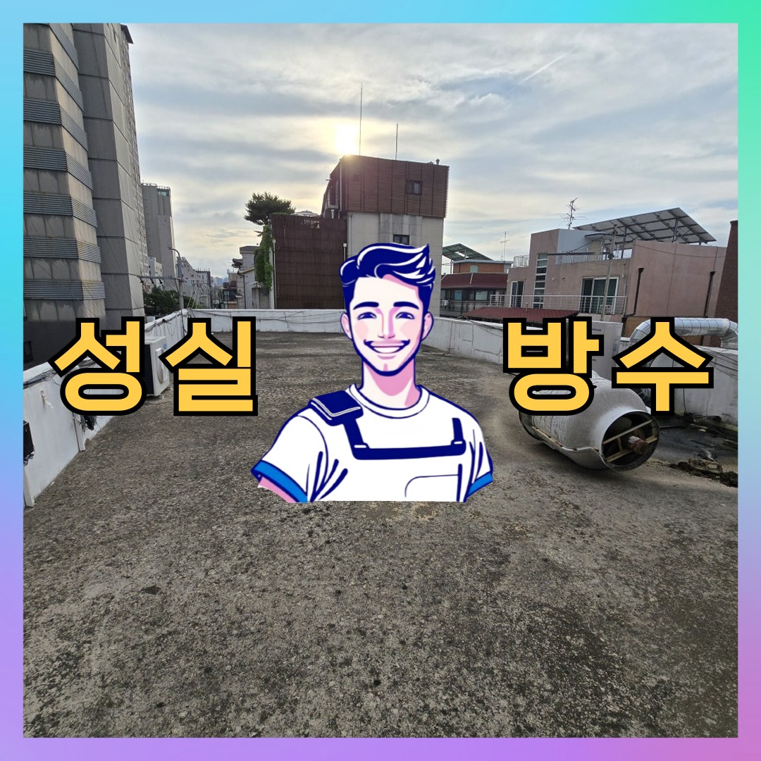 경기 성남시 수정구 단대동 상가 건물 옥상방수 시공 전 상태 - 성실방수