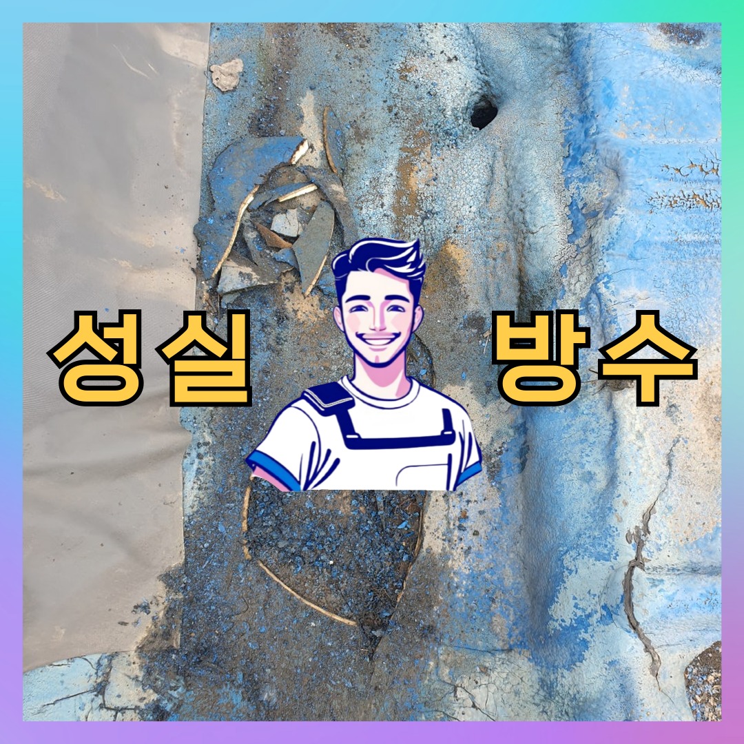 경기도 성남시 분당구 서현동 외벽발수: 내구성을 고려하는 보수 일지 대표 이미지