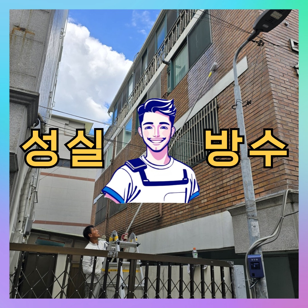 서울특별시 강북구 미아동 외벽도색: 세부적인 보수 일지 대표 이미지