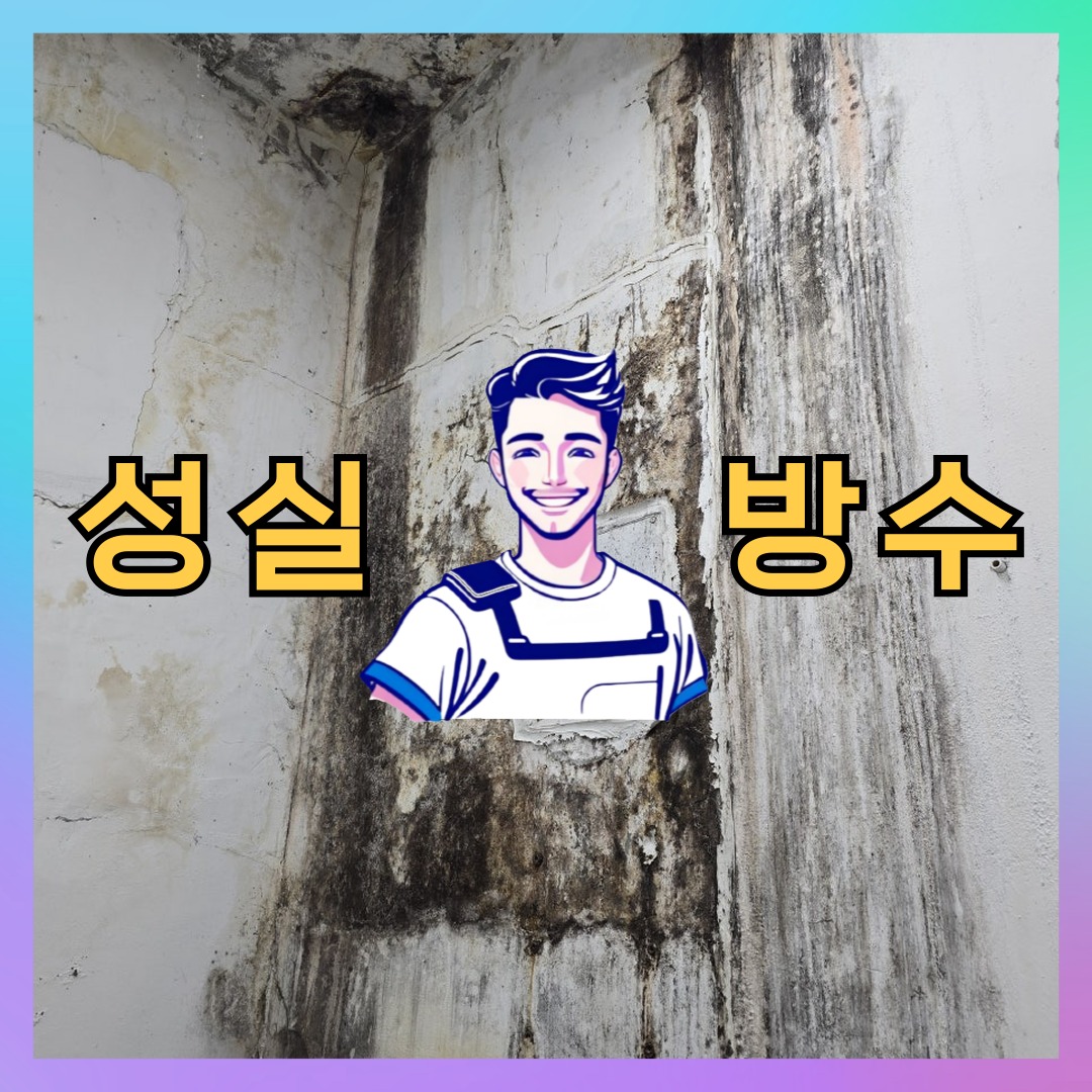 서울 성동구 용답동 다세대 빌라 외벽방수 시공 전 상태 - 성실방수